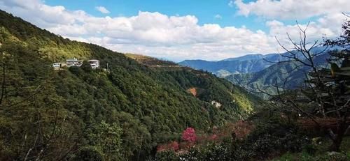 冬日樱花浪漫的无量山，竟然就是天龙八部中的神秘之境