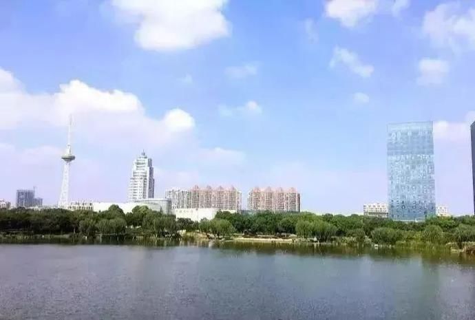  艺术|是自然的声籁，也是艺术的回响，它们在青浦悄悄发着光！