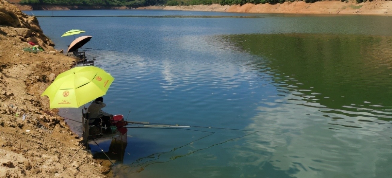 饵料|为什么你钓的鱼比别人少?就是调漂不对,稍加改变效果就不同