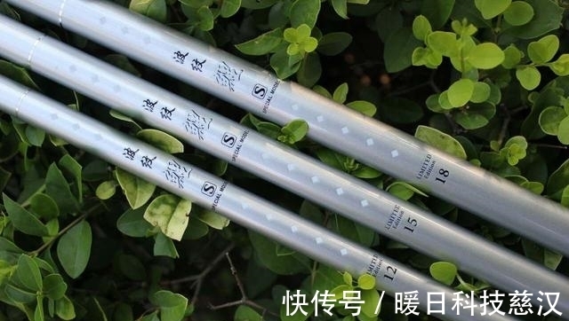 大板|夏季涨水钓浅滩,掌握这3个方法,钓到大板鲫不再难