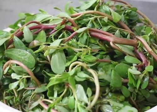 钙质|黑豆易引发骨质疏松?医生提醒:2绿1白“偷钙”食物,尽量少吃