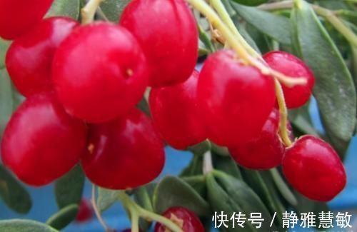 滑利性|怪不得你比同龄人老得快,3种食物你定经常吃!以后不吃也别碰