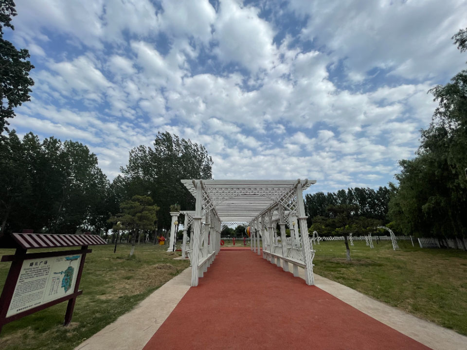 高青|昔日盐碱涝洼沙地，蝶变成黄河旅游网红地