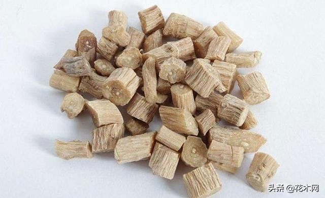 野菜|一种野草,农村人把它当滋补野菜,不要叶子只要根,这是珍贵药材