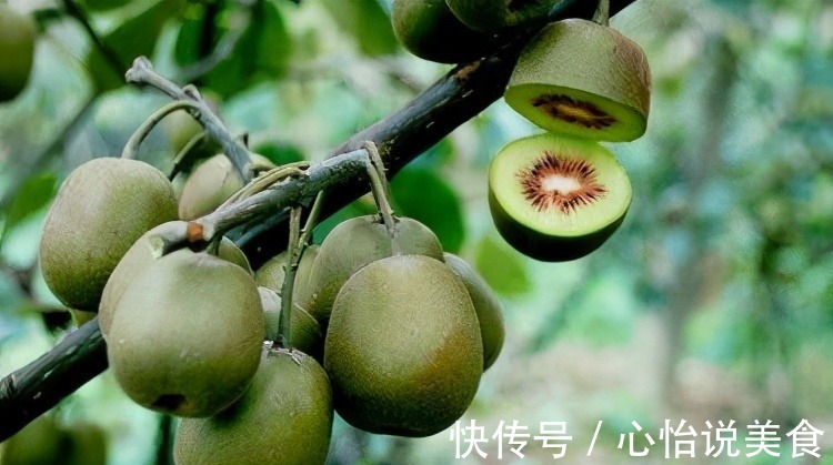 排毒|女人爱美多吃3种食物，延缓衰老，排毒养颜，滋补身体，好处多多