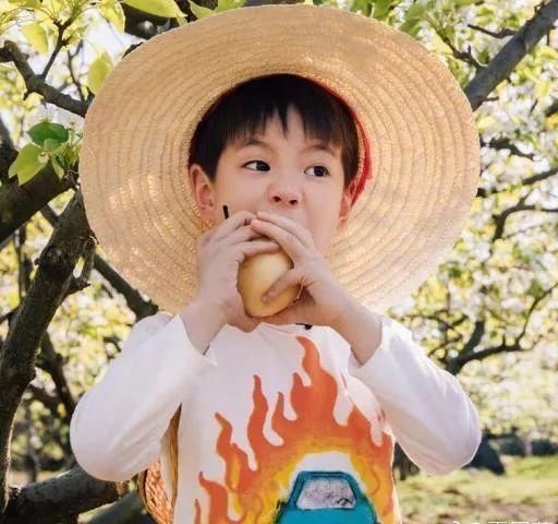 嗯哼|孩子不是双眼皮,家长亲自给整成双眼皮,网友:无知