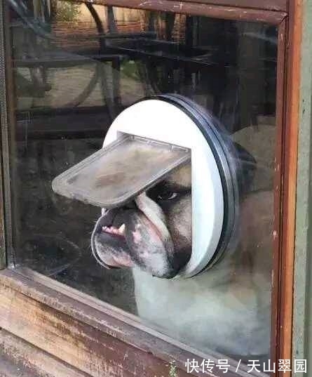 |搞笑图片幽默段子笑话：哈哈哈，妹子你们在看什么呢