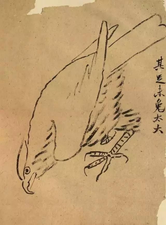 手稿$“齐式”大写意,我们被骗了齐白石手稿全曝光