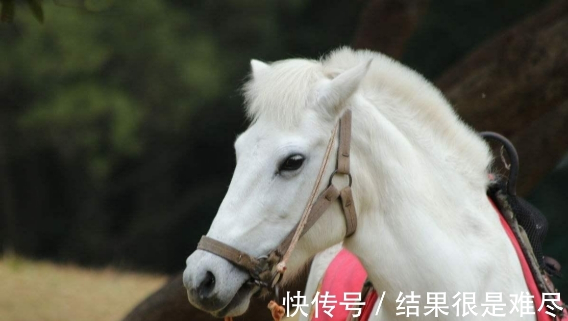 佛门@孙悟空曾打死6个凡人,为何还被封了佛?看这6人名字连起来念啥