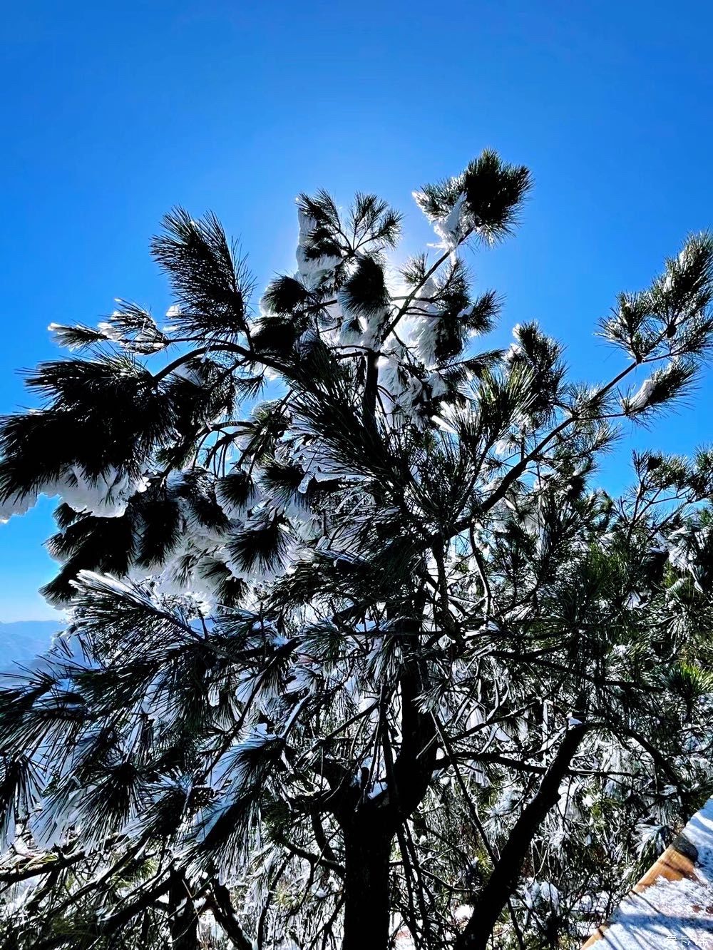 西藏|冬天的雪是上帝写给人间的诗