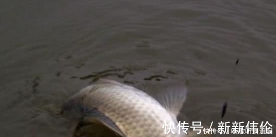 风向阳|冬钓如何选择钓位？老钓友常用这3个“大招”，钓到天黑也不想走