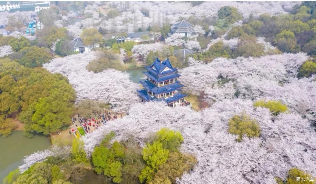 鼋头渚浪漫之旅