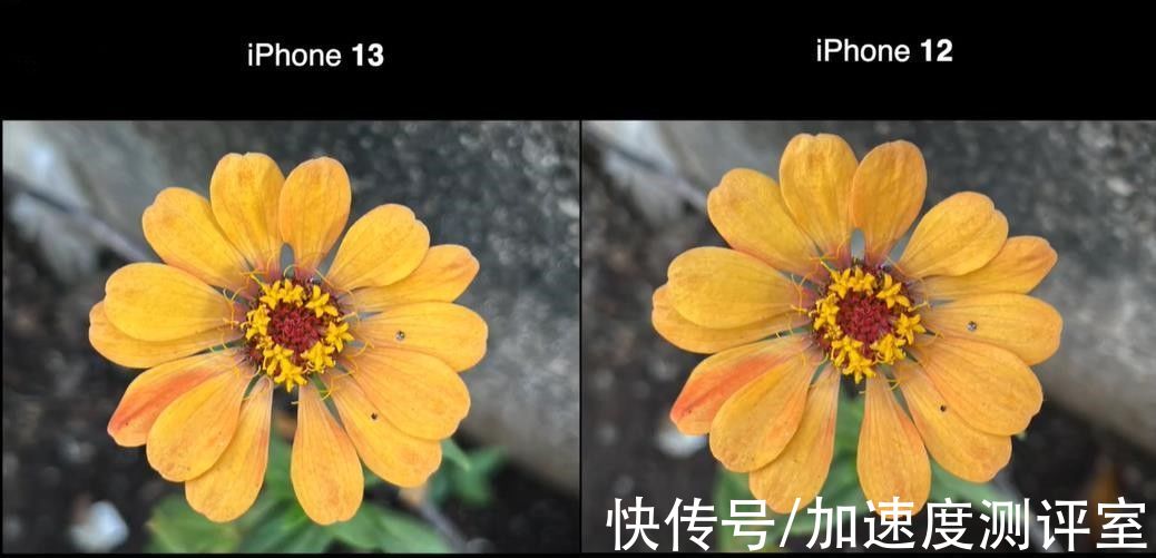 iPhone13与iPhone12性能拍照全面对比，有必要选新机吗？
