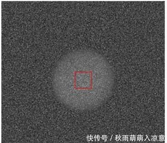 人类 将树叶放大一亿倍会看到什么？科学家：从未见过的“第二宇宙”