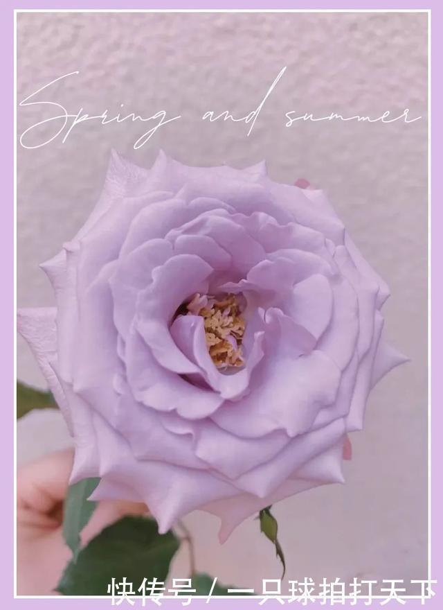 显白|2020秋冬5大流行色来了!第3个超级显白