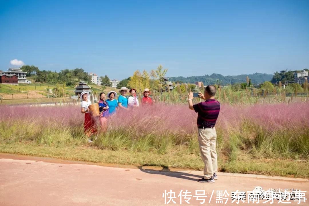 水景长廊|天柱三十里水景长廊有个“网红草”，快去拍照吧