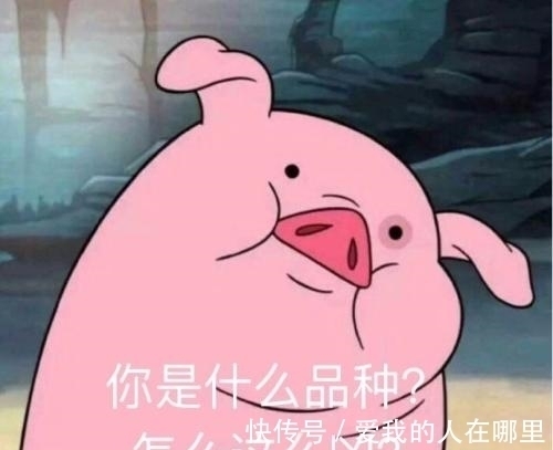 |幽默笑话:最近嘴巴老是疼,受不了了,然后就去了医院。