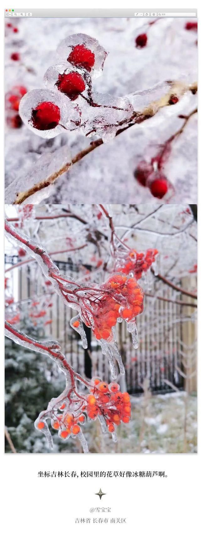 东北|每年冬天的南方人：好想在东北的雪里打滚啊啊啊啊啊啊啊！