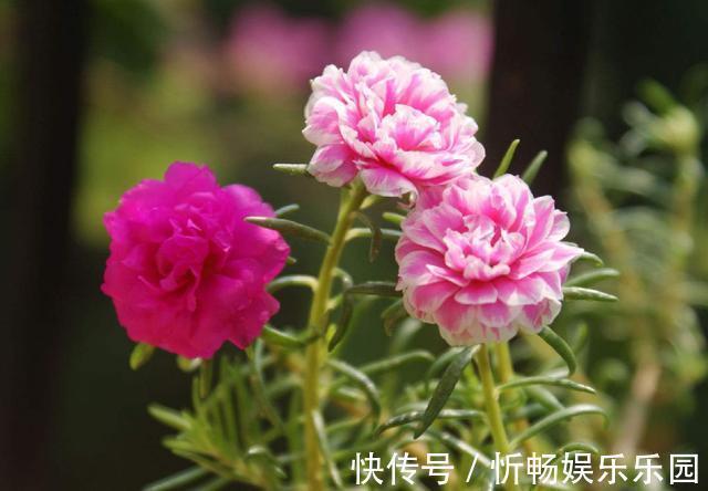 这四种人@这四种人,是你生命中的贵人,遇上了千万要珍惜