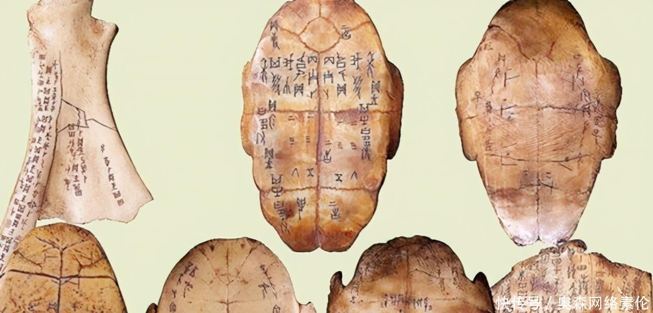 古代一敷就能止血的金创药,为何后来消失了?你看看原材料是啥