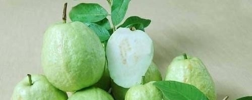 石碱酸|脂肪最怕的刮油“神器”,每天吃一点,刮油减肥,体重嗖嗖掉!