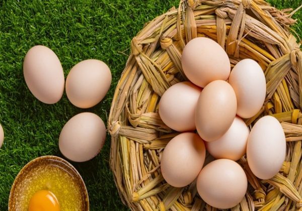 叮嘱|经常买鸡蛋的朋友注意,这几种鸡蛋别买了,叮嘱家人下次别买错了