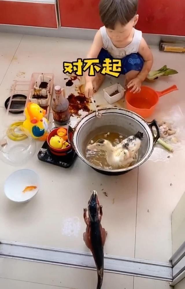 口水鸭|熊孩子3天没吃肉，自己动手做“口水鸭”，鸭子我当时害怕极了