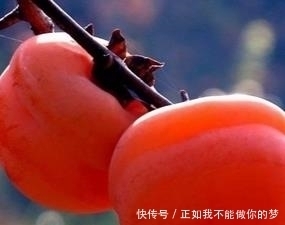  蜂蜜|庭院种此“果树”，插土就能活，果子摘不完，味道甜如蜂蜜