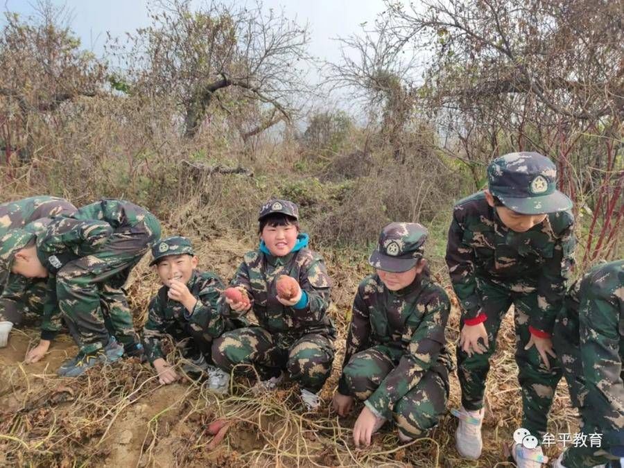 沉浸式|山东牟平：“沉浸式”劳动教育让学生收获满满