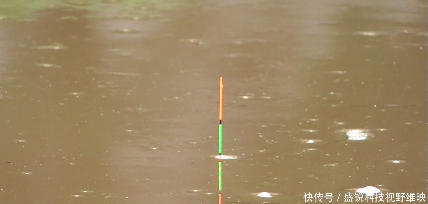 黄金时间段|天热鲫鱼很难钓？老钓友一般都这样操作，照样连竿上鱼