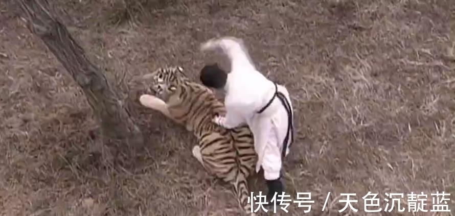 薛仁贵@传说中有三头吊睛白额猛虎,武松打了一头,另外两头被谁打了?