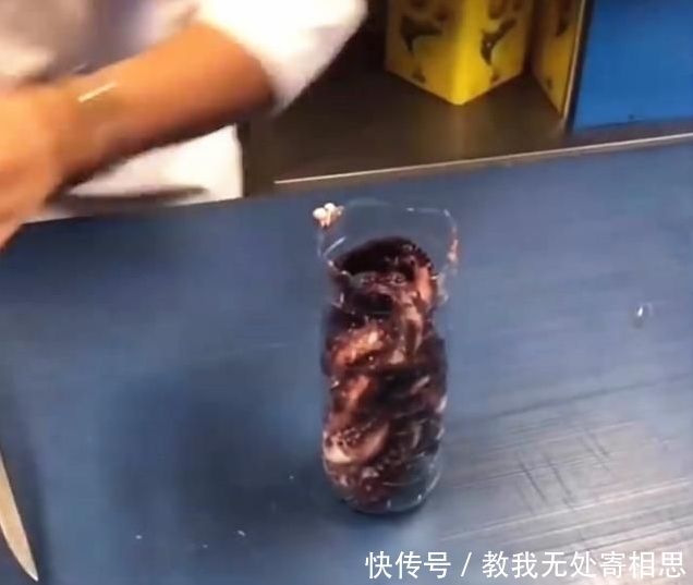  重达|小伙把重达3斤的章鱼塞进瓶子，煮了1小时，用刀一切，太意外！