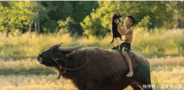 区别|农村老人说“家孙烧纸,外孙一指”,告诉你外孙和亲孙的区别!