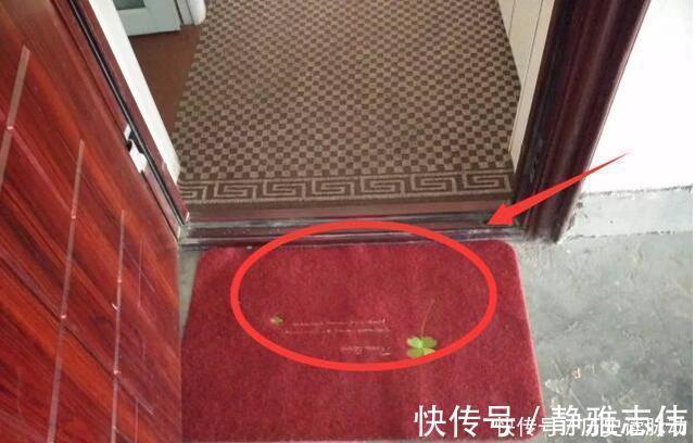 晾衣架|搬入新房2月想拆房!当初脑子被驴踢中了17个装修坑,个个烧心慌