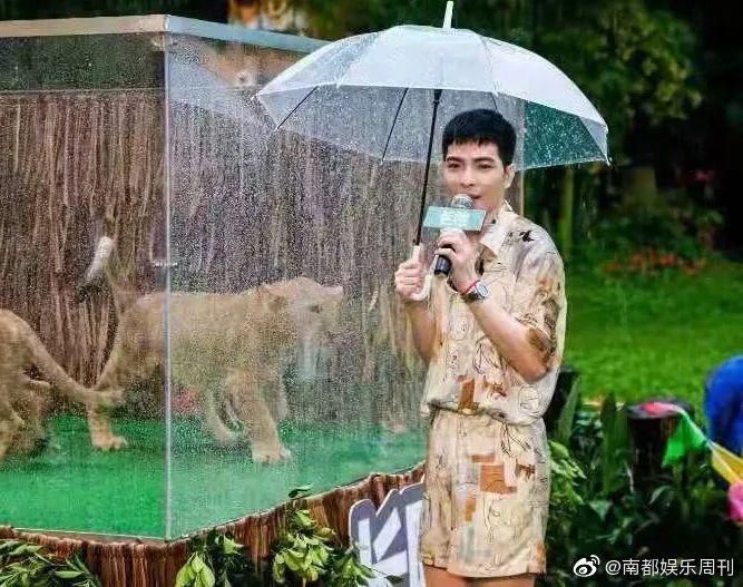 一下雨，他的工作室就好忙啊！