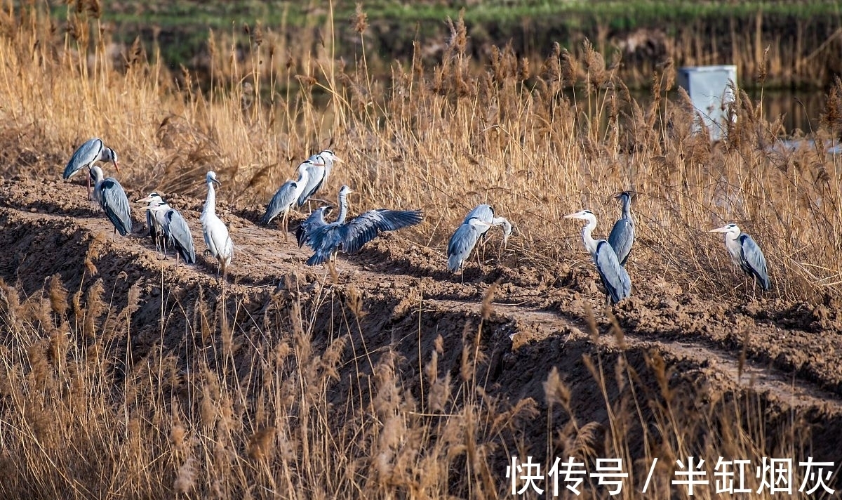 陕西省|合阳旅游景点有哪些？推荐合阳的6大热门景点，你都去过吗？