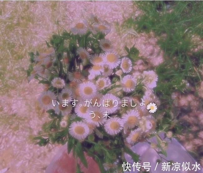 少女心|“治愈+神仙滤镜”背景图爆红,满满少女心,小可爱了解一下