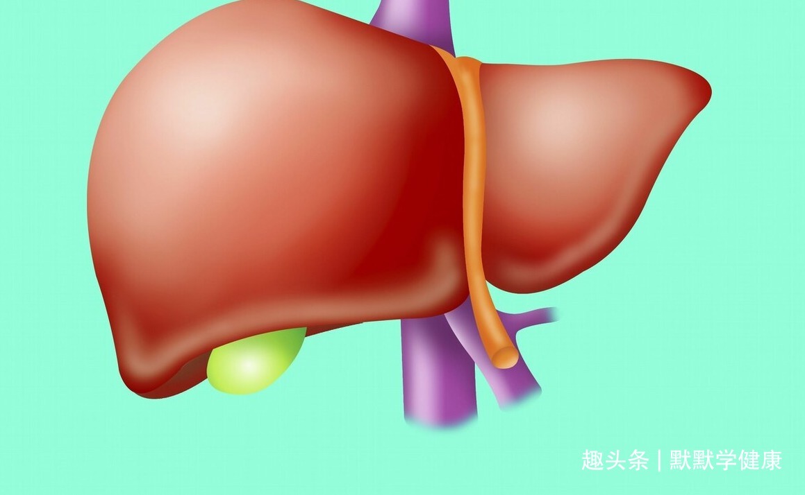 阳气不足|心对舌,肝对目,脾对口,肺对鼻,肾对耳,啥最养五脏全告诉你