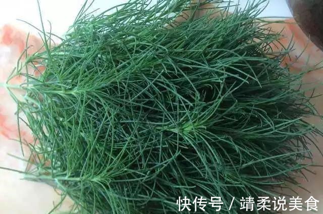 清热解毒|野菜吃不对小心致命!这7种野菜可以放心吃