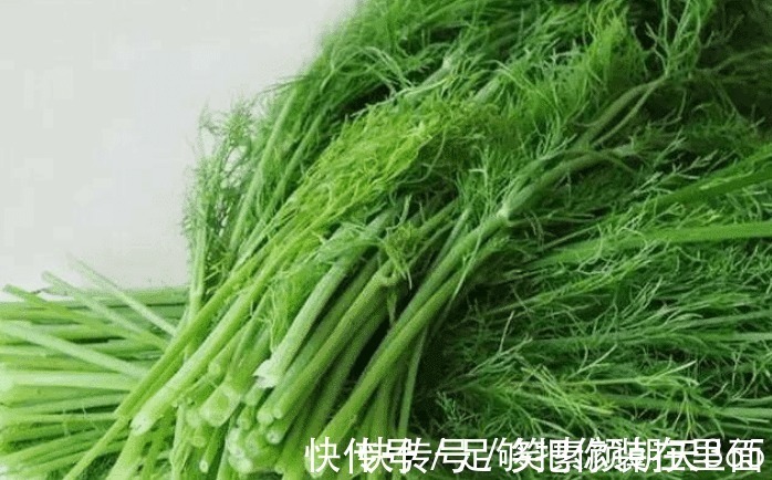 苦瓜|蔬菜中公认最难吃的七种，如果全吃过的，只能说很服气了