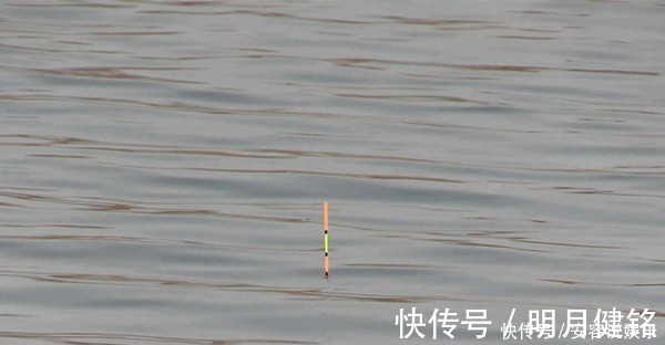 冬季钓鲫鱼,调漂不可追求灵敏,用这两种调漂方法,顿口更清晰!