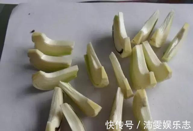 种球|朱顶红“烂了”是好事！切2刀养一个月，变成50株小苗
