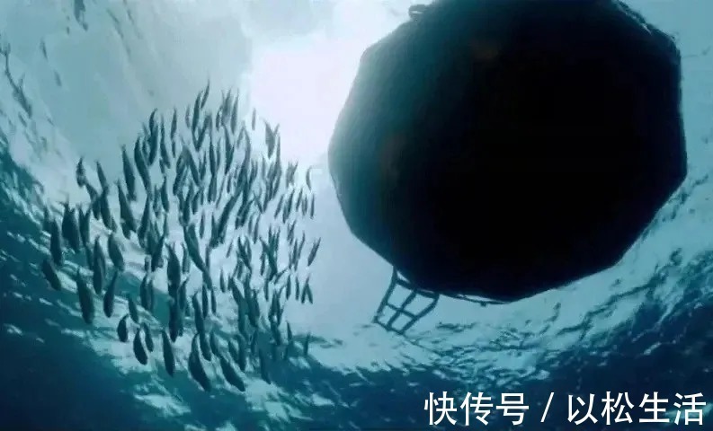 人生@看了10遍《老人与海》，总结出这5条人生精华，句句戳心