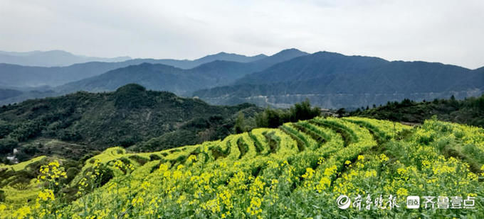 婺源篁岭的油菜花漫山遍野，美不胜收