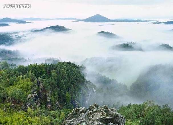 农村俗语 春雾日头 夏雾雨 秋雾凉 冬雾雪 准吗 快资讯