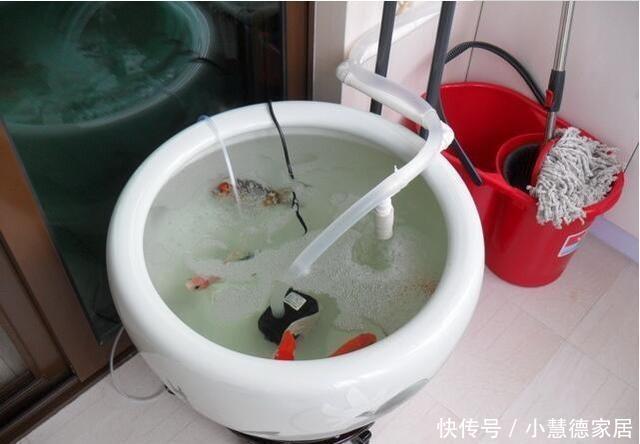 同意|打算在阳台砌鱼池,物业不同意,只好放个鱼缸,邻居看了赞不绝口