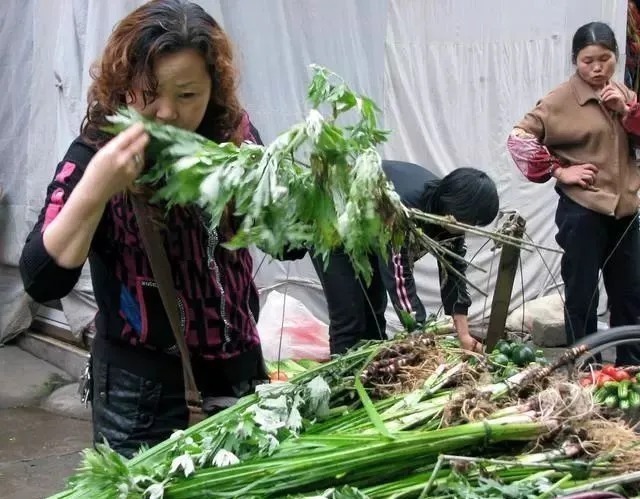 野钓|钓鱼高手都不外露的野钓找底法，这样钓鱼最有效，不会的赶紧学学！