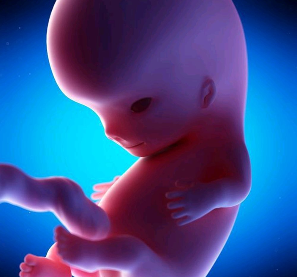受精卵|胎儿颜值什么时候定型？宝宝长得“俊不俊”，孕前三个月就决定了