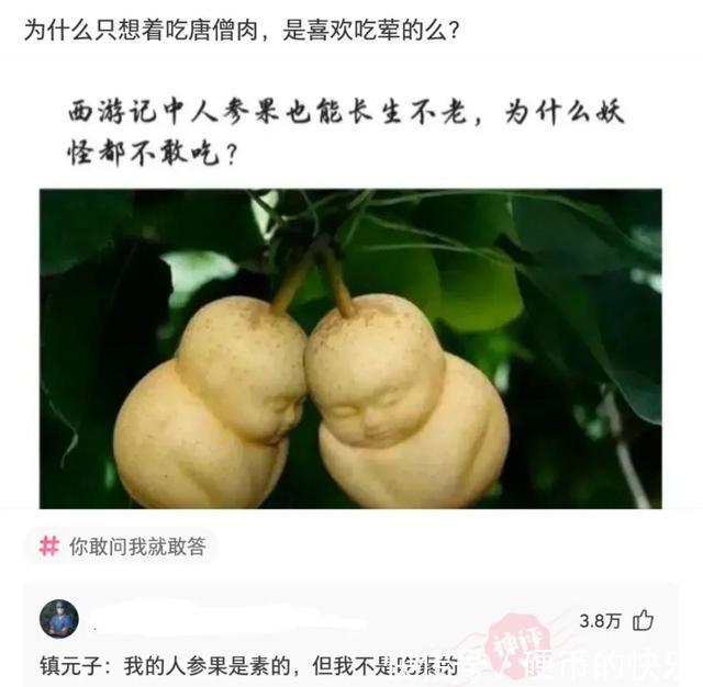 |搞笑段子合集:小黄:乾坤未定,你我皆是黑马