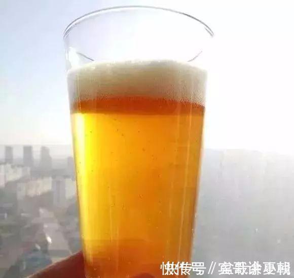 营养|盆里灌点饮料，盆土疏松有营养，10年不用换土花也长得旺